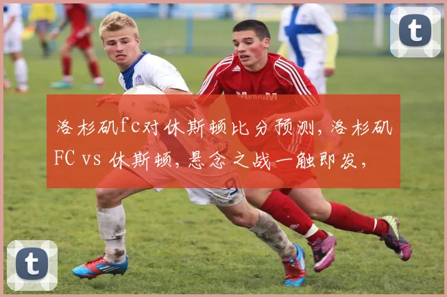 洛杉矶fc对休斯顿比分预测,洛杉矶FC vs 休斯顿,悬念之战一触即发,谁将笑到最后
