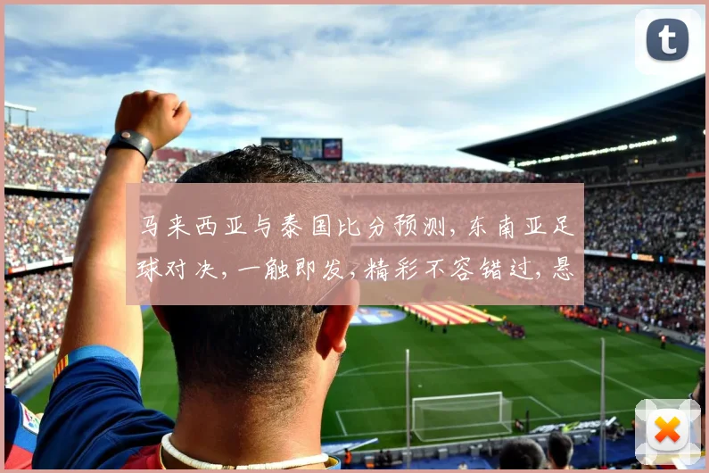 马来西亚与泰国比分预测,东南亚足球对决,一触即发,精彩不容错过,悬念待揭晓,。