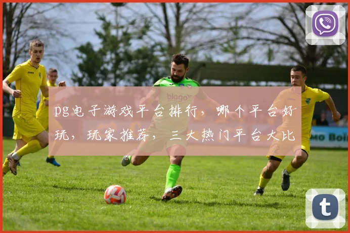 pg电子游戏平台排行，哪个平台好玩，玩家推荐，三大热门平台大比拼，值得一看